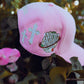 The Pink cap