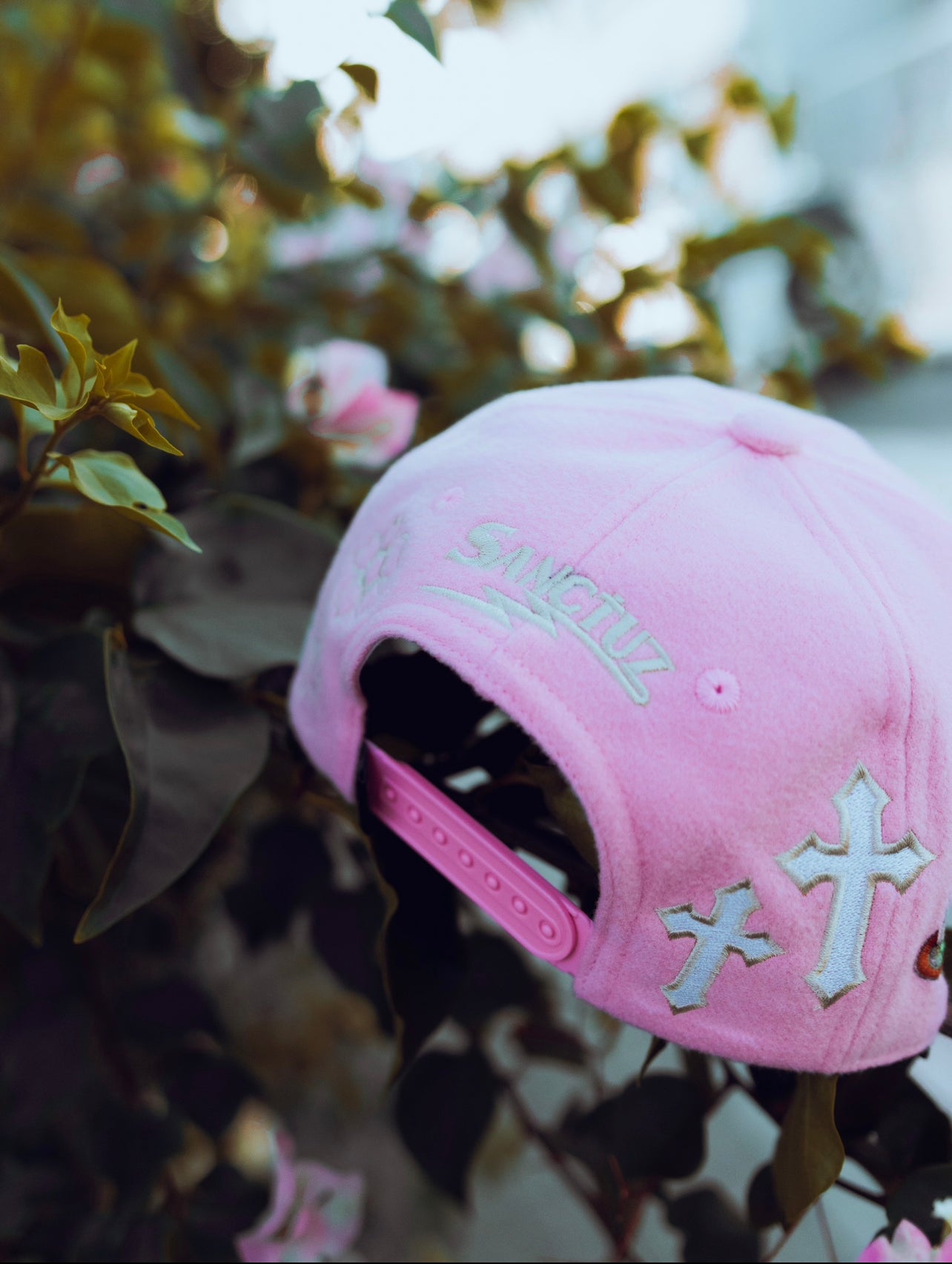 The Pink cap